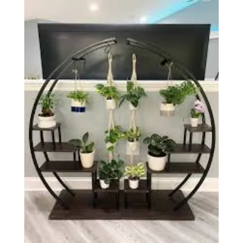 Organic  Decorative Plants