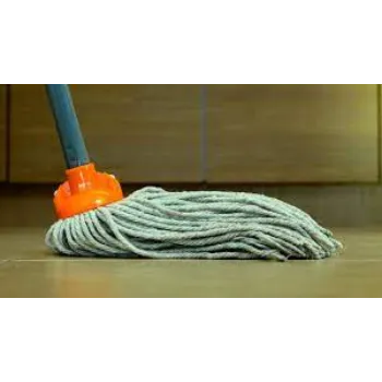 Ganpati Deep Clean Mops