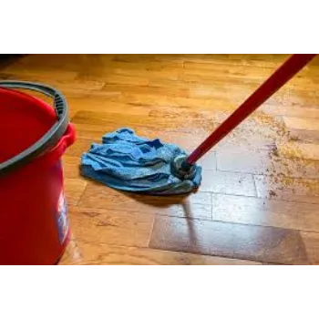 Solid Micro Deep Clean Mops