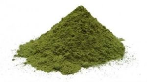 Common Spinach Powder