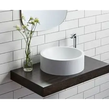 Corrosion Resistance Designer Basin