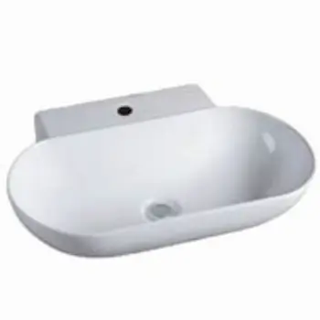 Polished Designer Basin