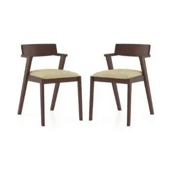 Stylish Designer Dining Chair