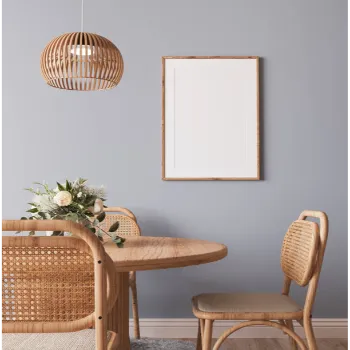 Plain Designer Dining Chair