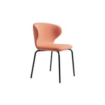 Modern Designer Dining Chair