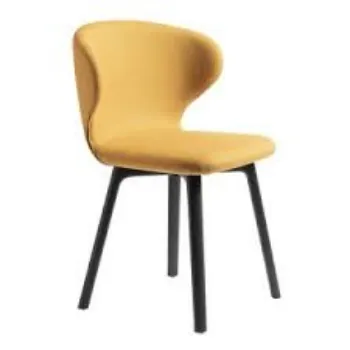 Designer Dining Chair
