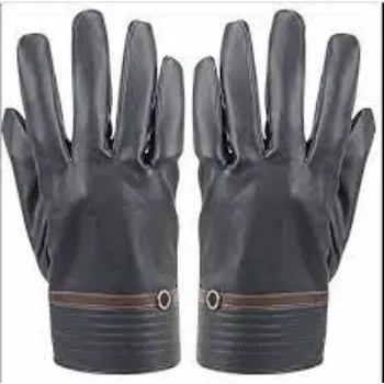 Classic Designer Gloves