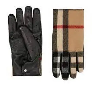 New Stylish Gloves