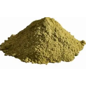 Dhaniya Patta Powder