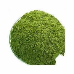 Common Dhaniya Patta Powder