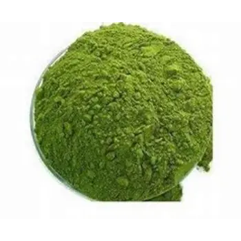 Dhaniya Patta Powder