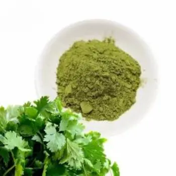 Common  Dhaniya Patta Powder