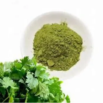 Dhaniya Patta Powder