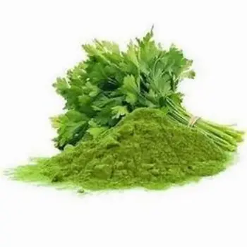 Dhaniya Patta Powder