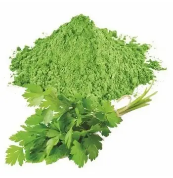 Fresh Dhaniya Patta Powder