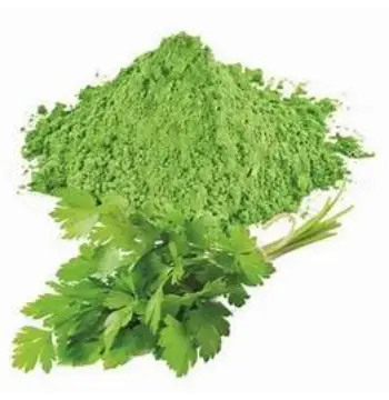 Fresh Dhaniya Patta Powder