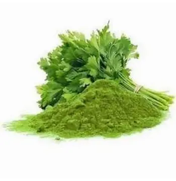 Fresh Dhaniya Patta Powder