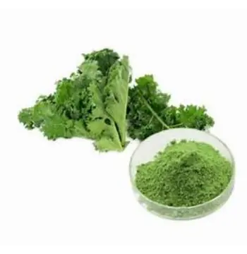 Fresh Dhaniya Powder