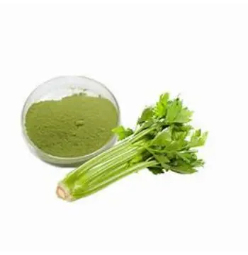 Fresh Dhaniya Patta Powder