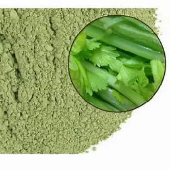 Dhaniya Patta Powder