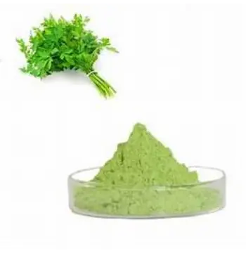 Organic Dhaniya Patta Powder