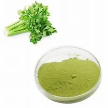 Dhaniya Patta Powder