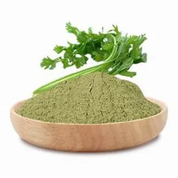 Dhaniya Patta Powder