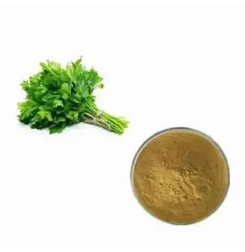 Fresh Dhaniya Patta Powder