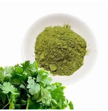Natural Dhaniya Patta Powder