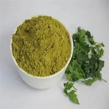Dhaniya Patta Powder