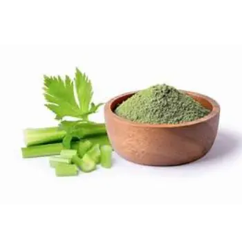 Fresh Dhaniya Patta Powder