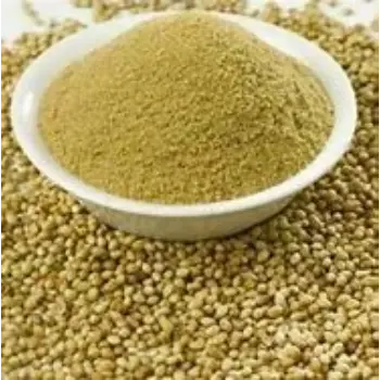Natural Dhaniya Powder