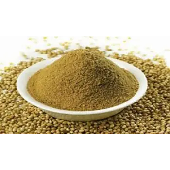 Natural Dhaniya Powder