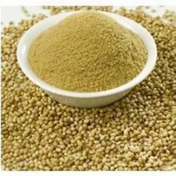 common Dhaniya Powder