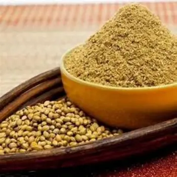 Fresh Dhaniya Powder