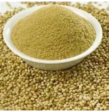Fresh Dhaniya Powder