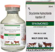 Dicyclomine Injection