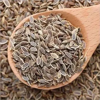 Common Dill Seeds