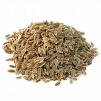Natural Dill Seeds