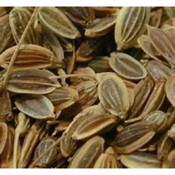 Natural Dill Seeds