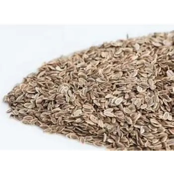 Organic Dill Seeds