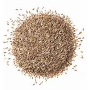 Dill Seeds
