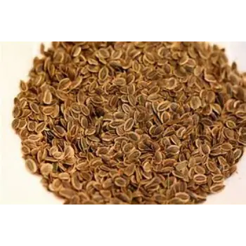 Dill Seeds