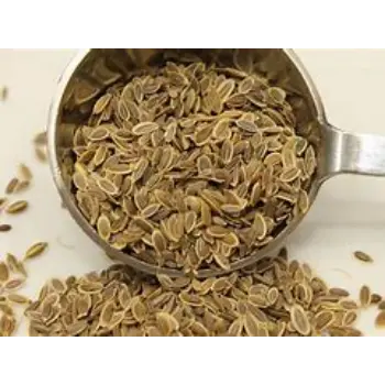Dill Seeds