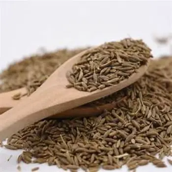 Fresh Dill Seeds
