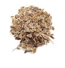 Common  Dill Seeds