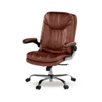 Attractive Look Director Chair