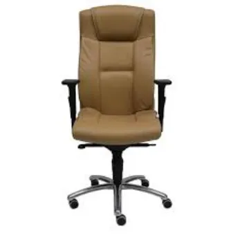 Durable Director Chair