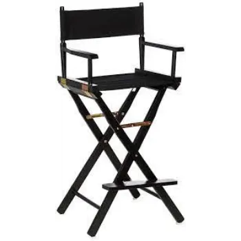 Polished Director Chair