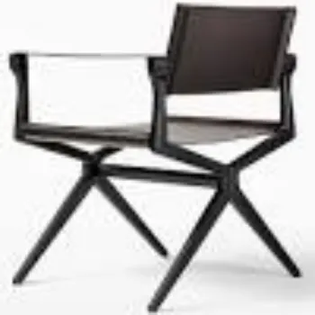 Polished Director Chair